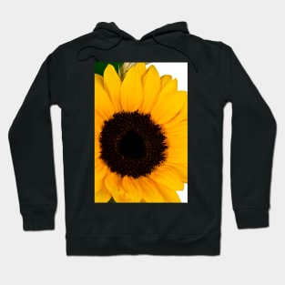 Yellow sunflower Hoodie